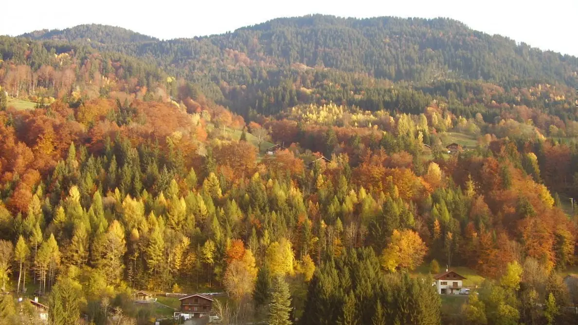 vue d automne depuis le gite