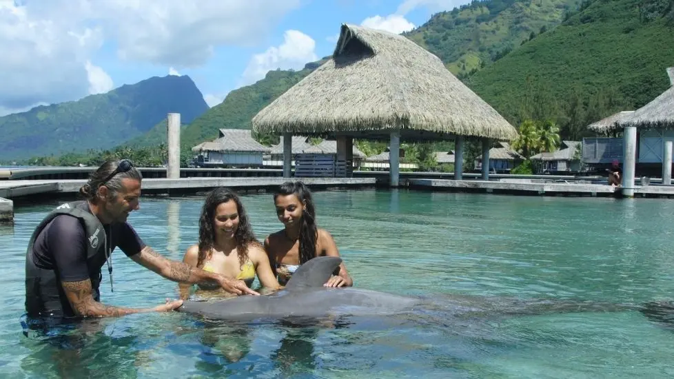 Moorea Dolphin Center