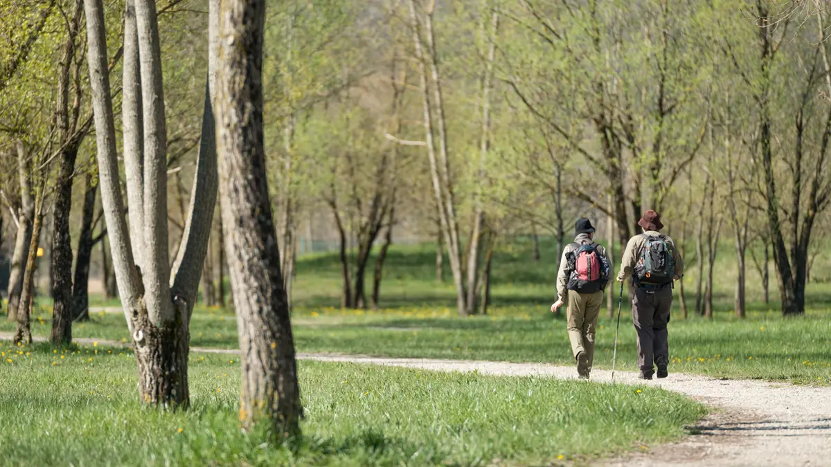 en chemin...