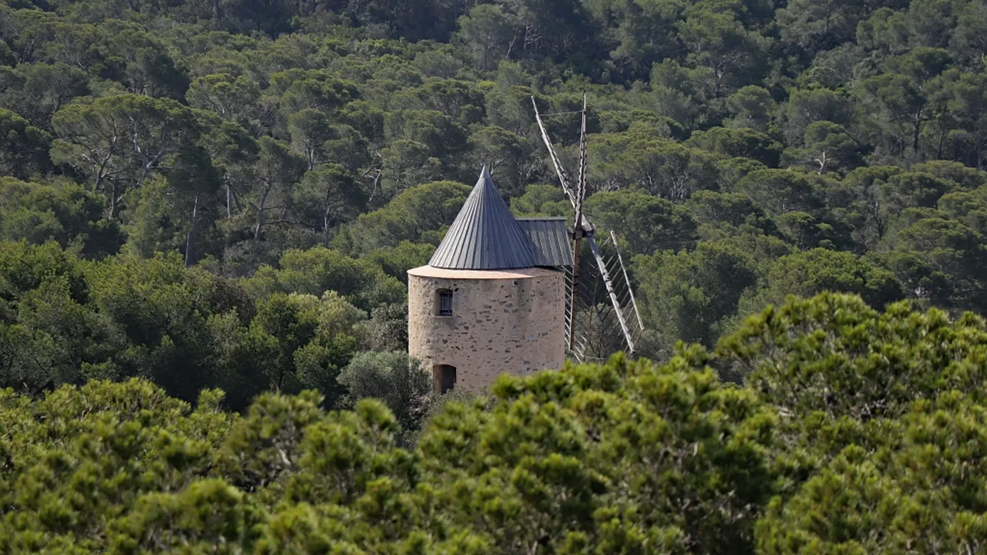 Moulin du Bonheur