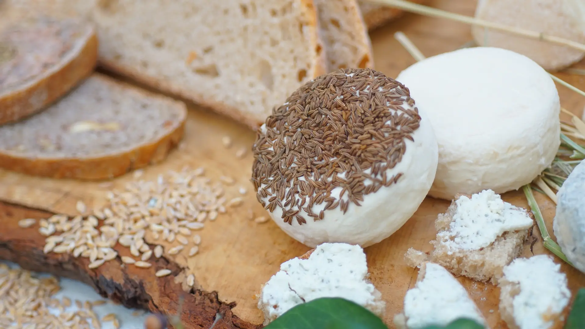 Fromage de chèvre frais au hebres