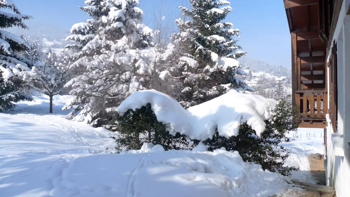 environnement extérieur hiver