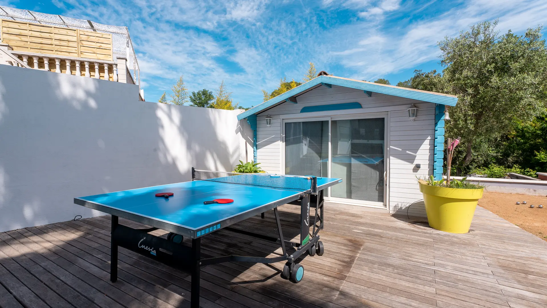 Ping pong