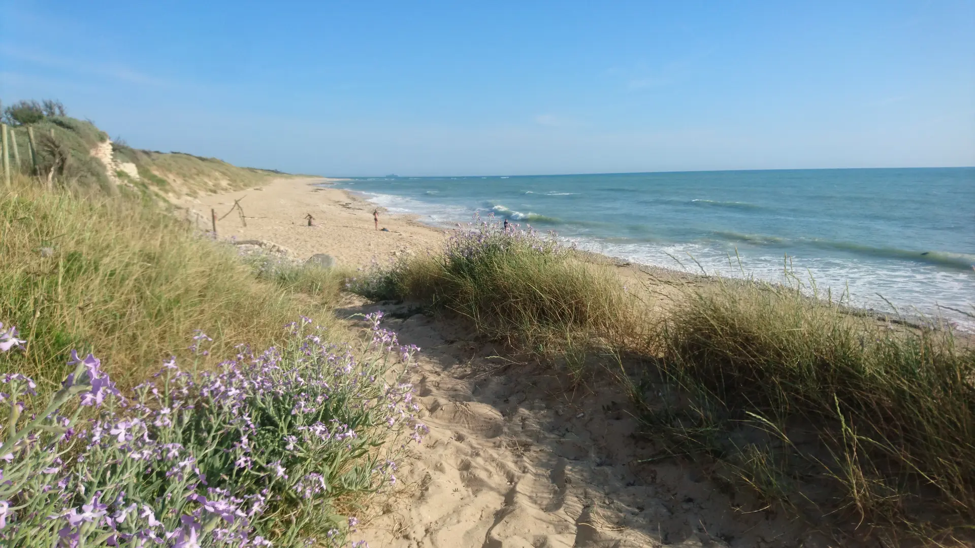 Plage Île de Ré