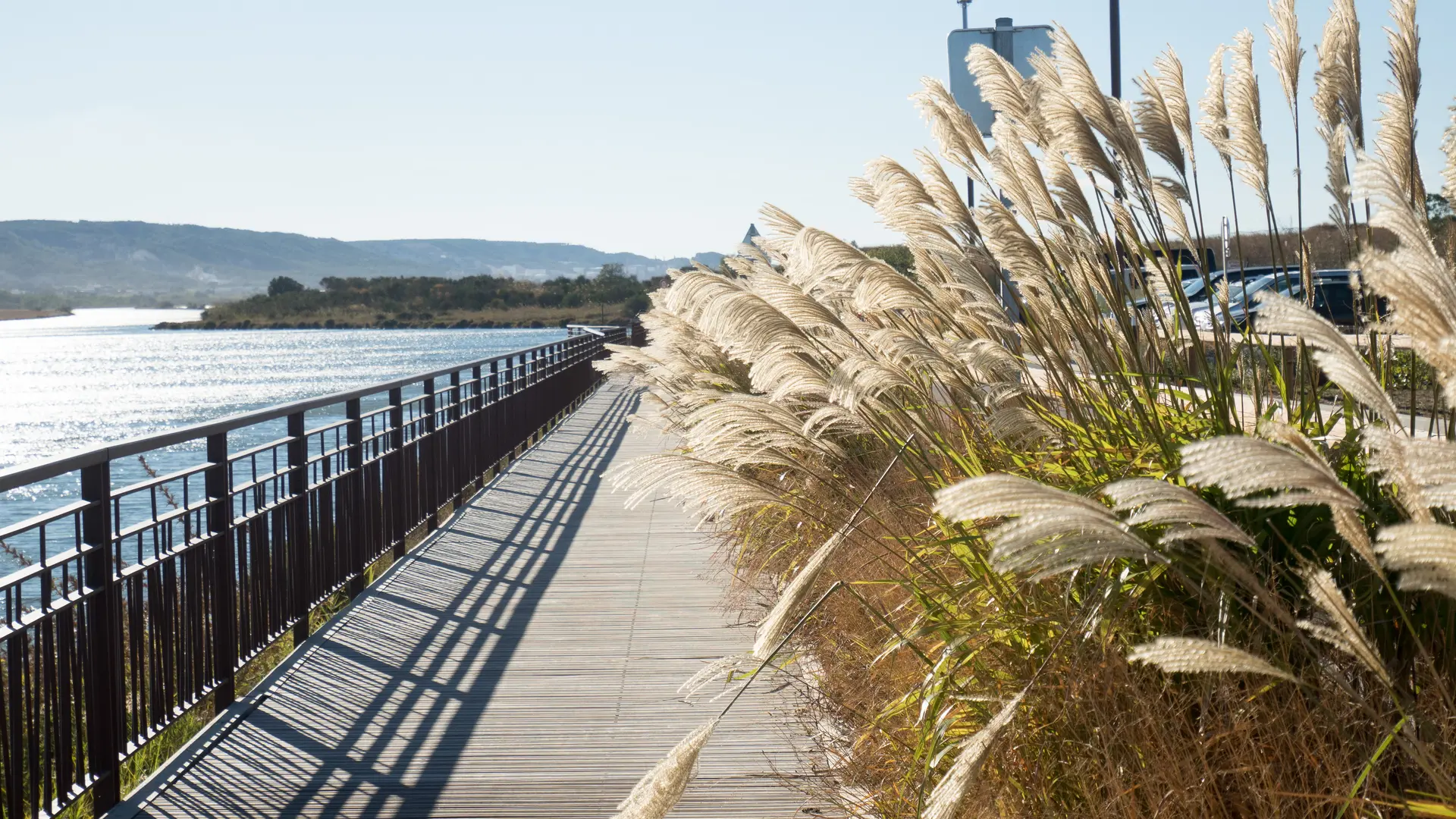Promenade au bord du canal du Rove