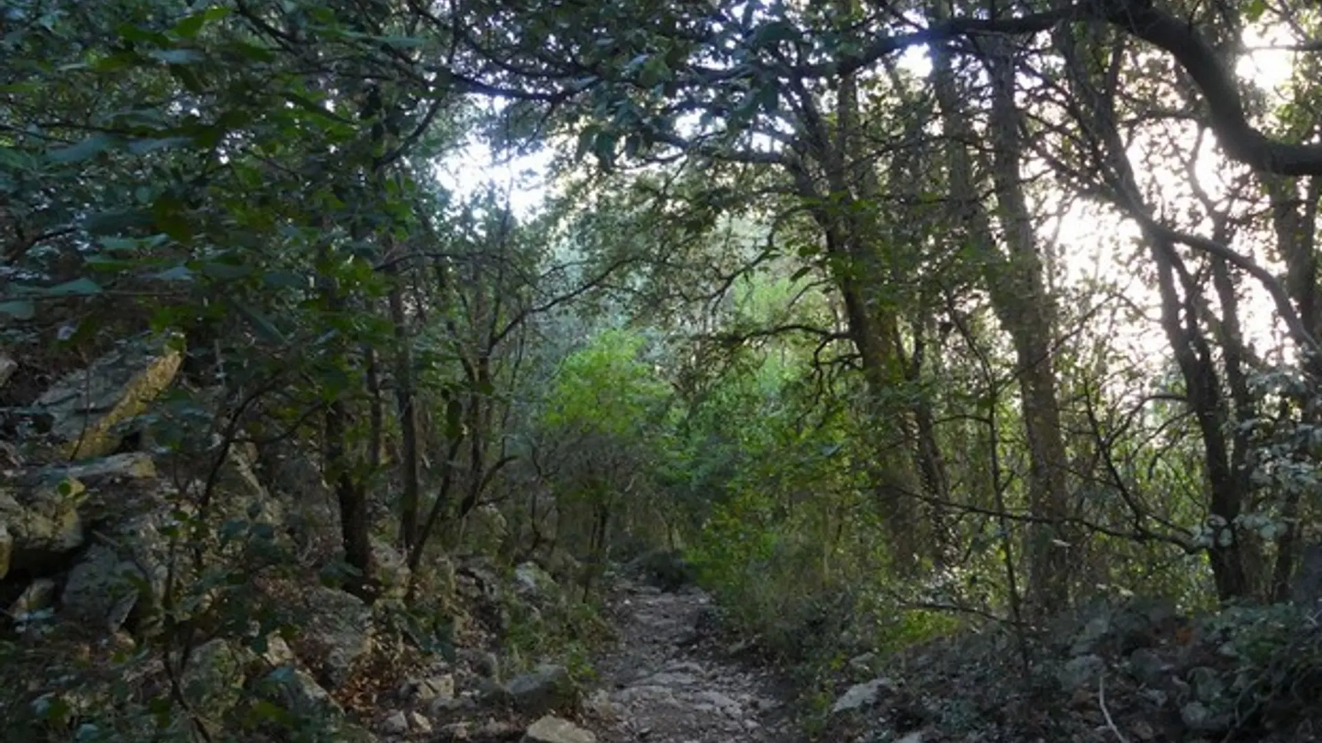 Le chemin des Cabrelles