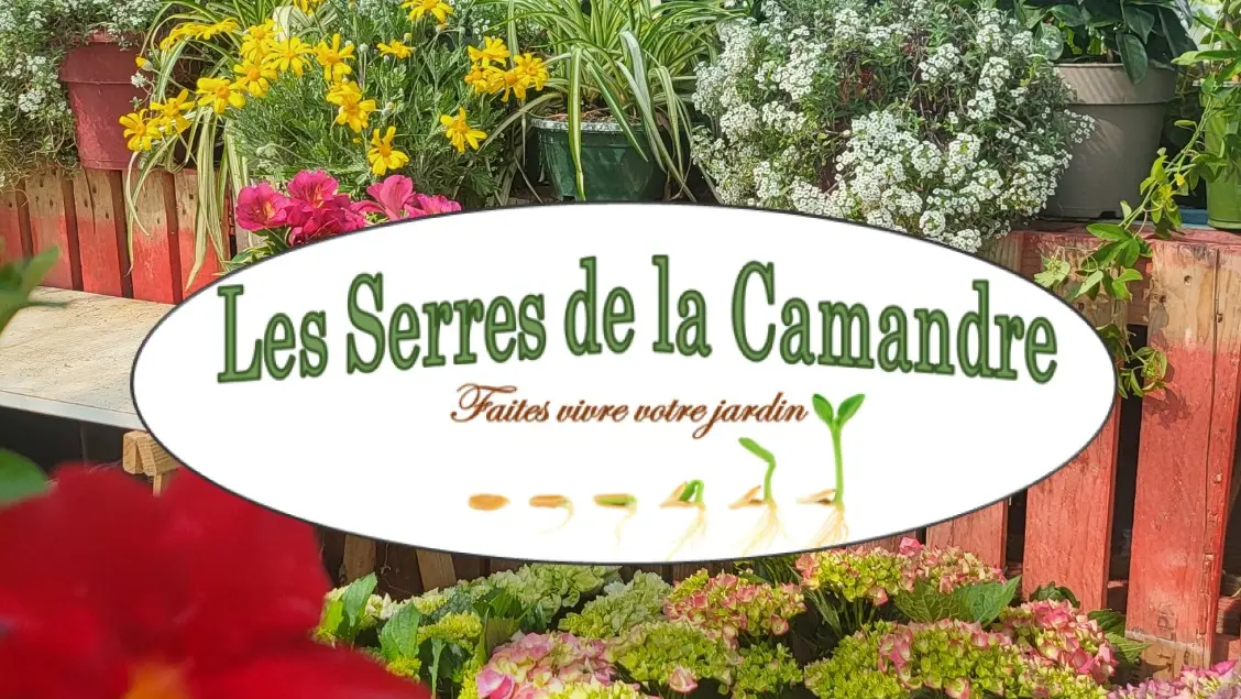 Les Serres de La Camandre_Fayence