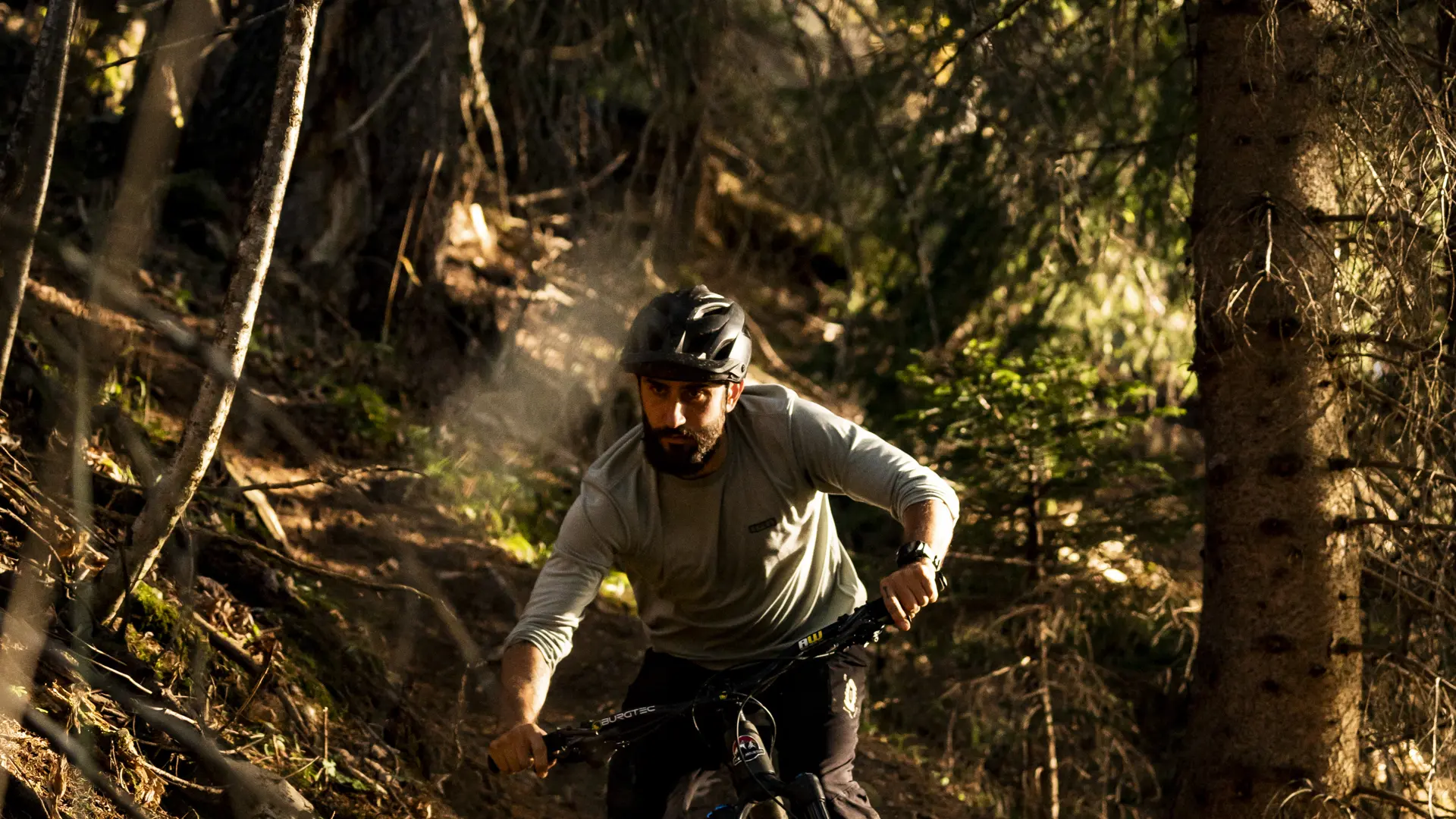 VTT