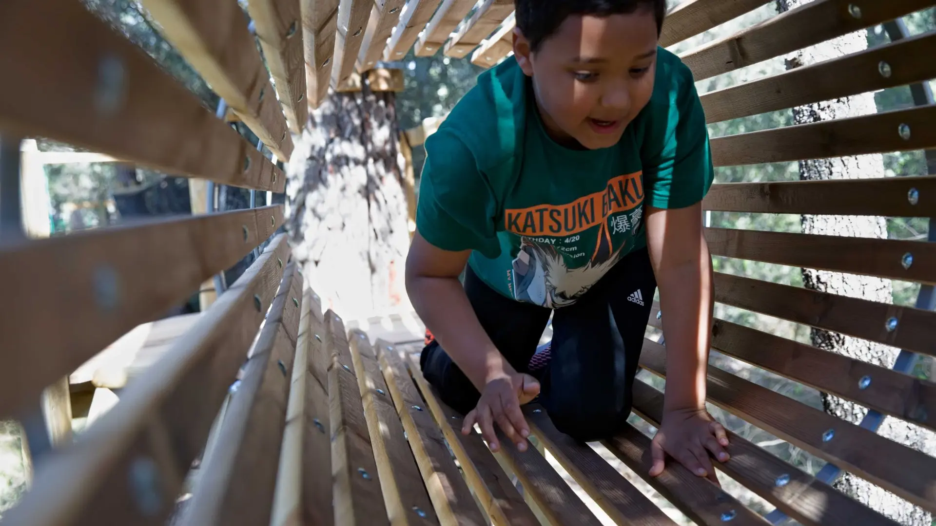 Parcours accrobranche