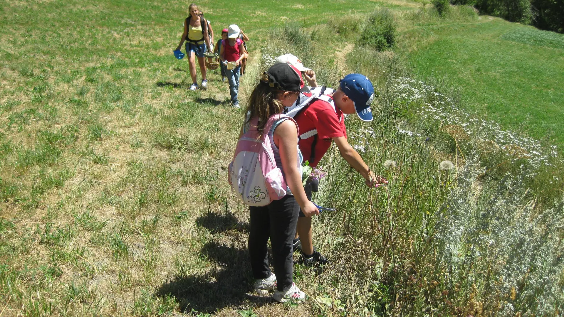 Observation, cueillette et partage - La Grave