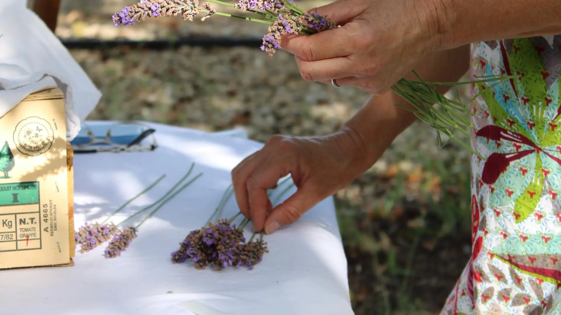 La Provence en Bouteille