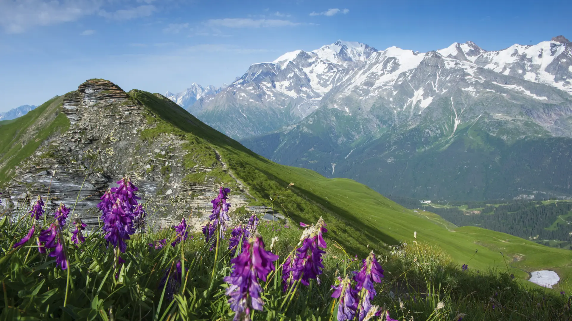 L'Aiguille Croche et le massif du Mont-Blanc