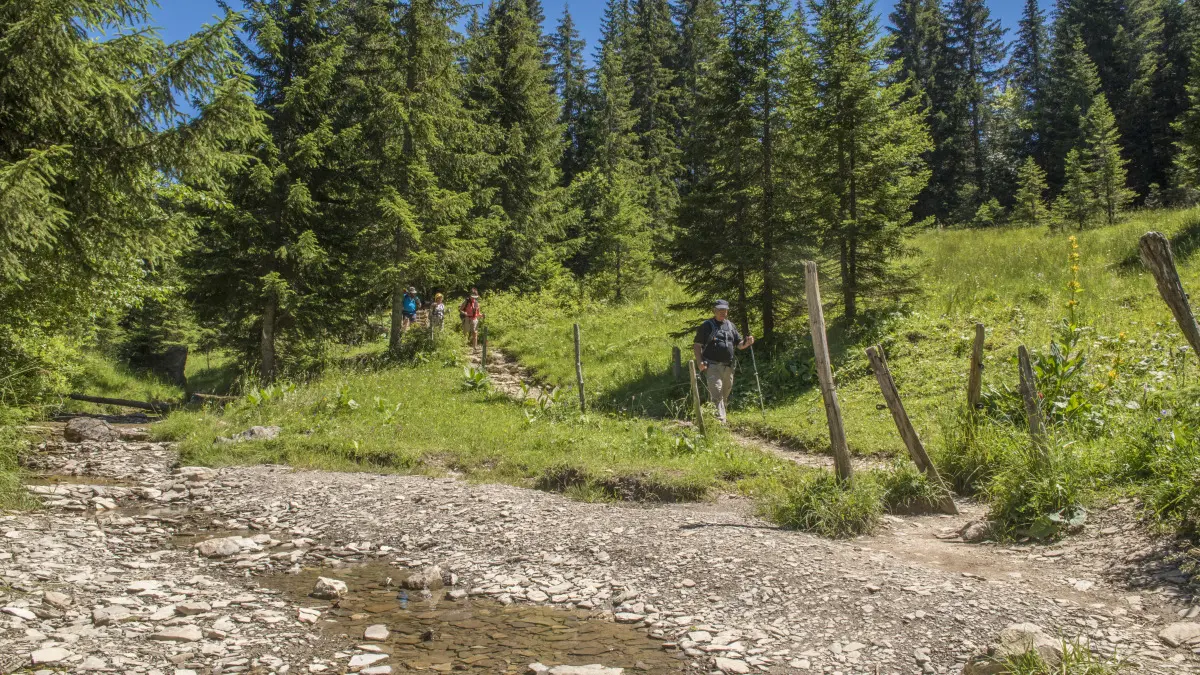 Glières