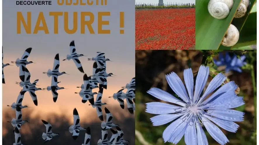 Sorties nature - Objectif Nature