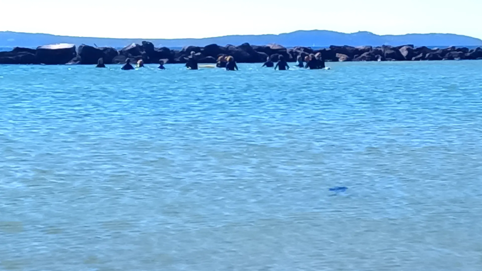 Longe côte