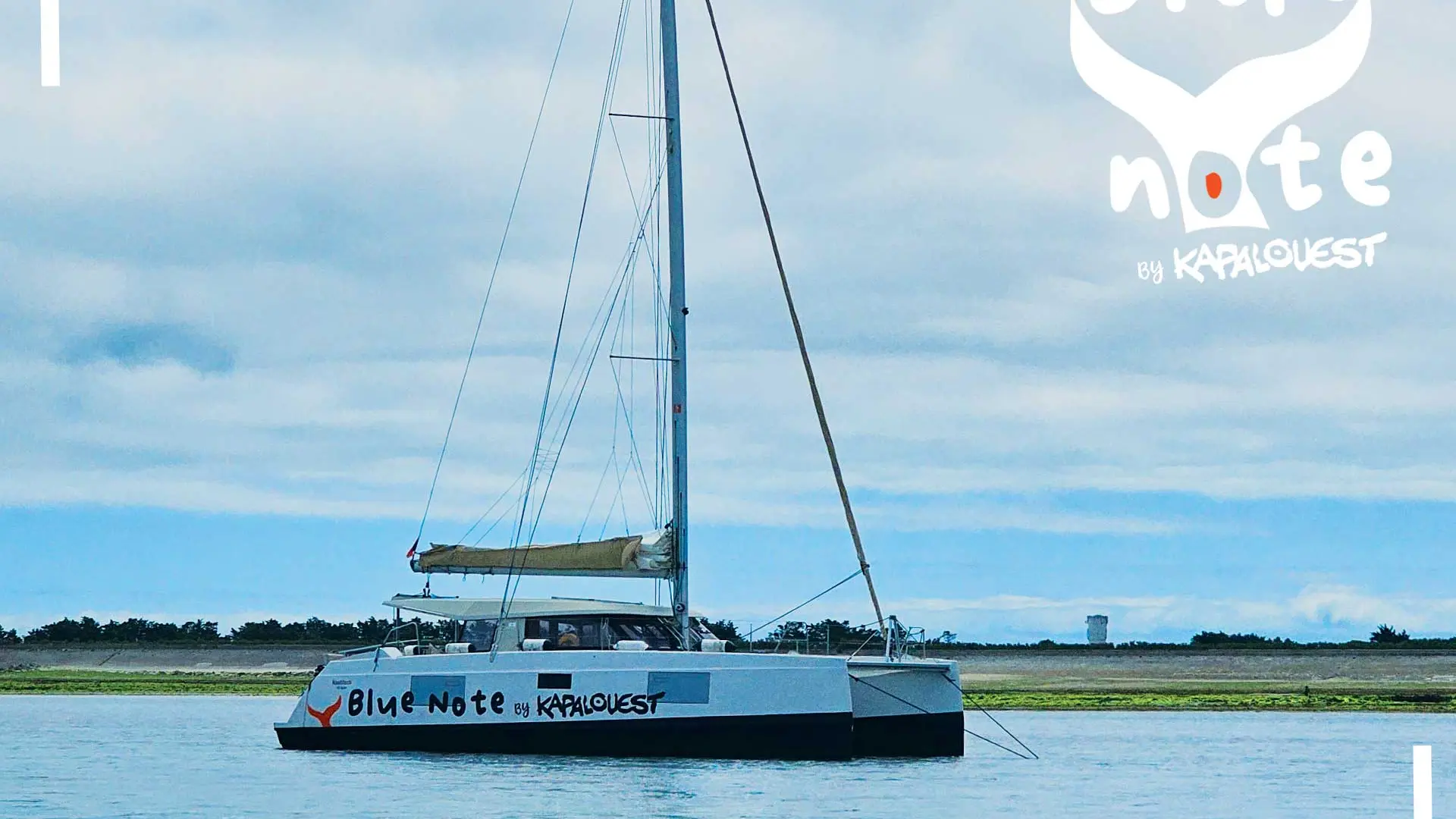 Sortie Demi-journée sur un catamaran à voile de Blue Note by Kapalouest