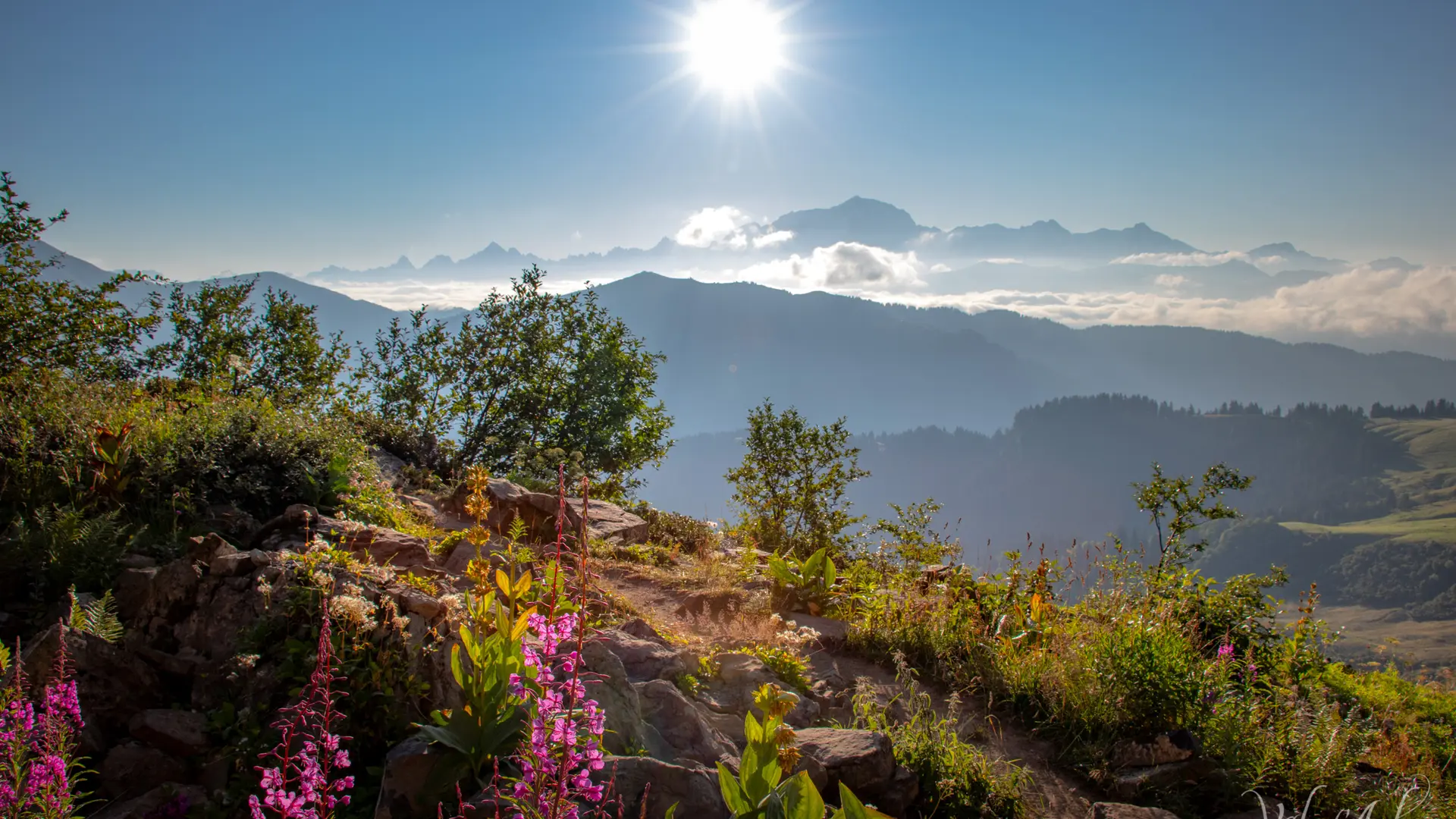 Vue en balcon sur la Chaine du Mont-Blanc - sentier de la Croix des Frêtes - La Giettaz