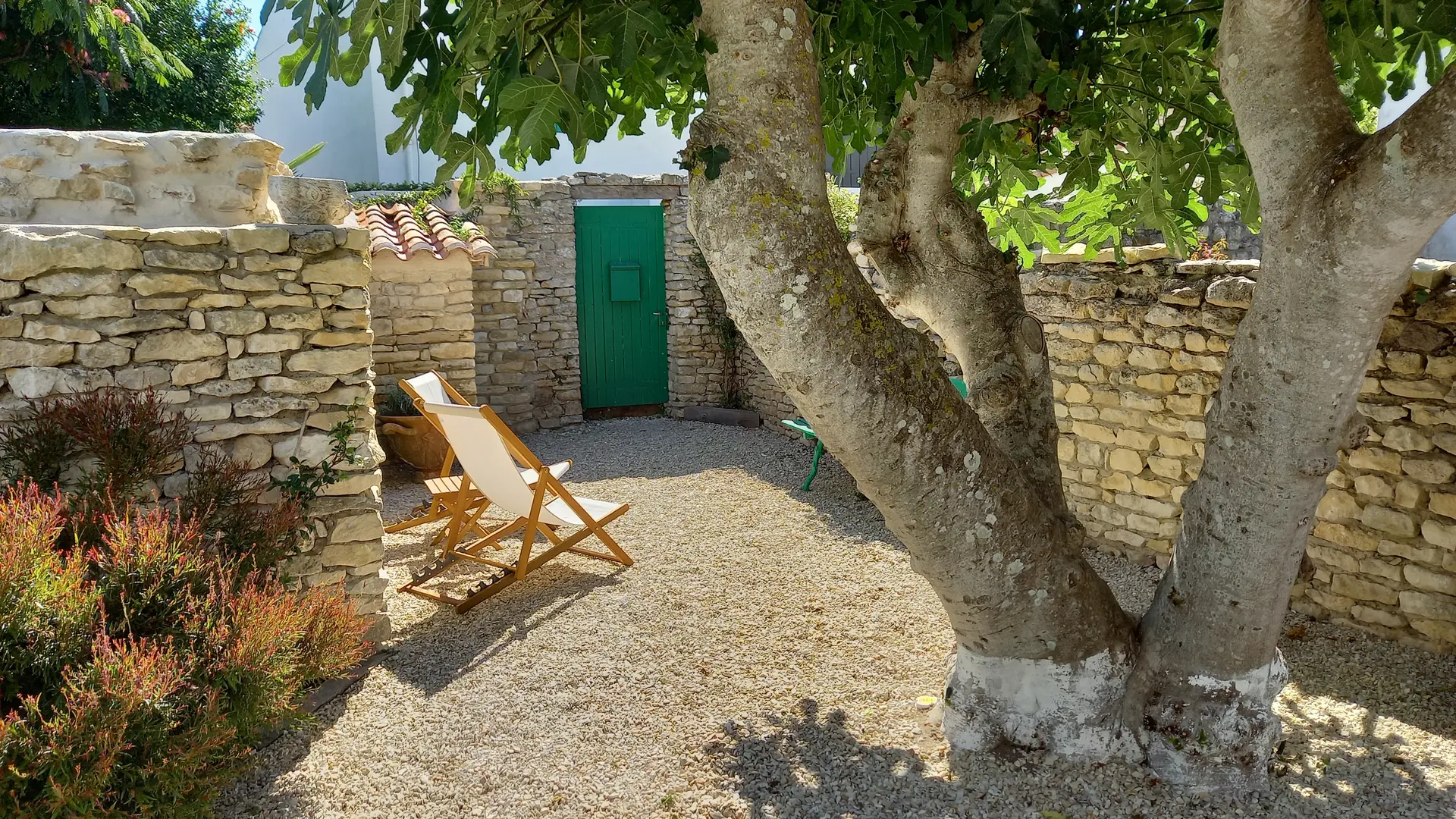 Jardín seco del oeste