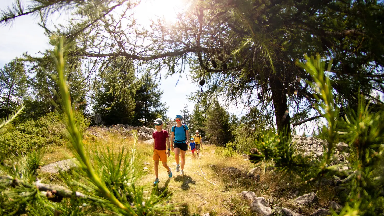 Croix St Philippe, Ancelle, vallée du Champsaur