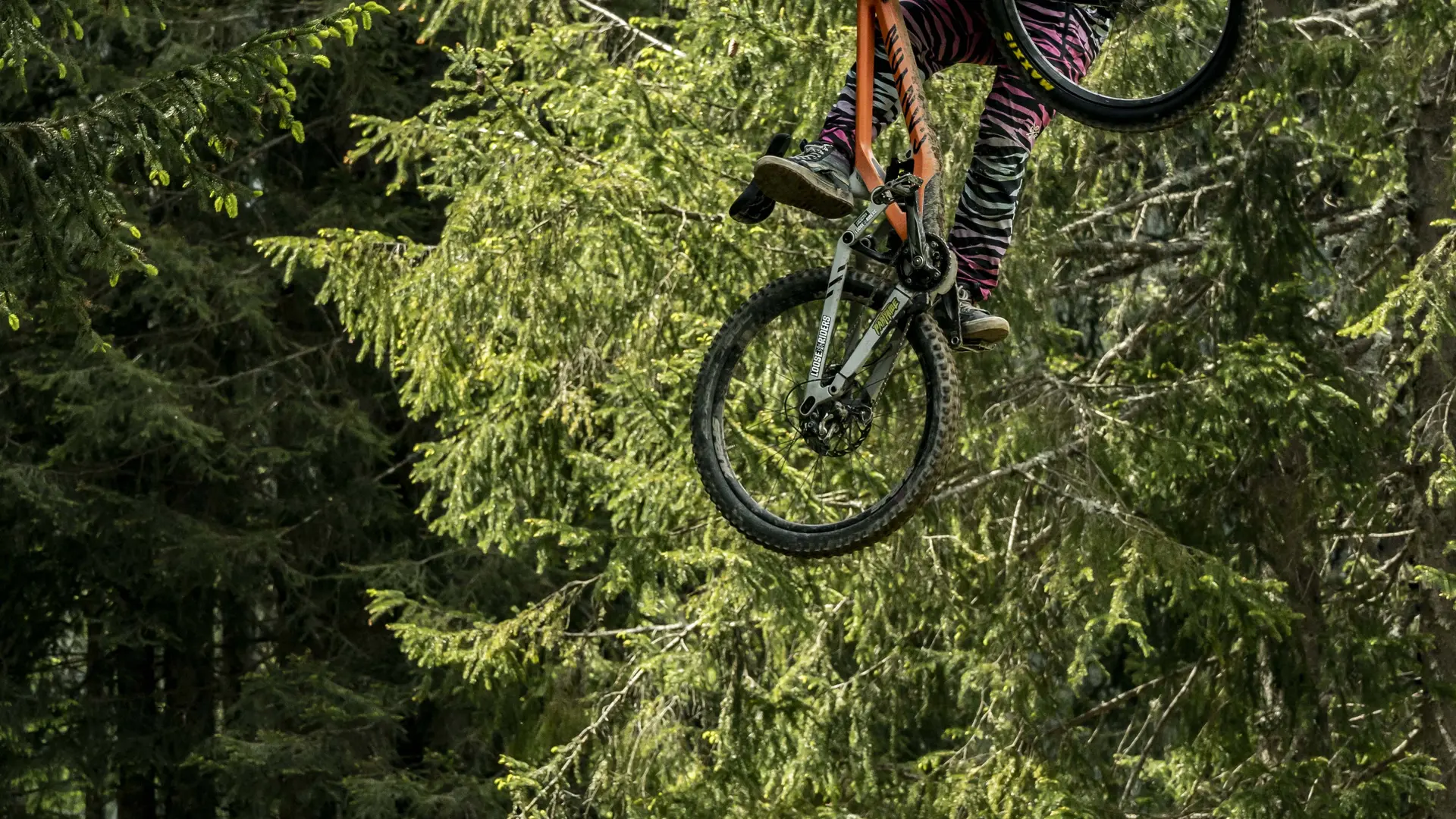 Piste VTT Vink Line partie inférieure -Bike Park de Châtel