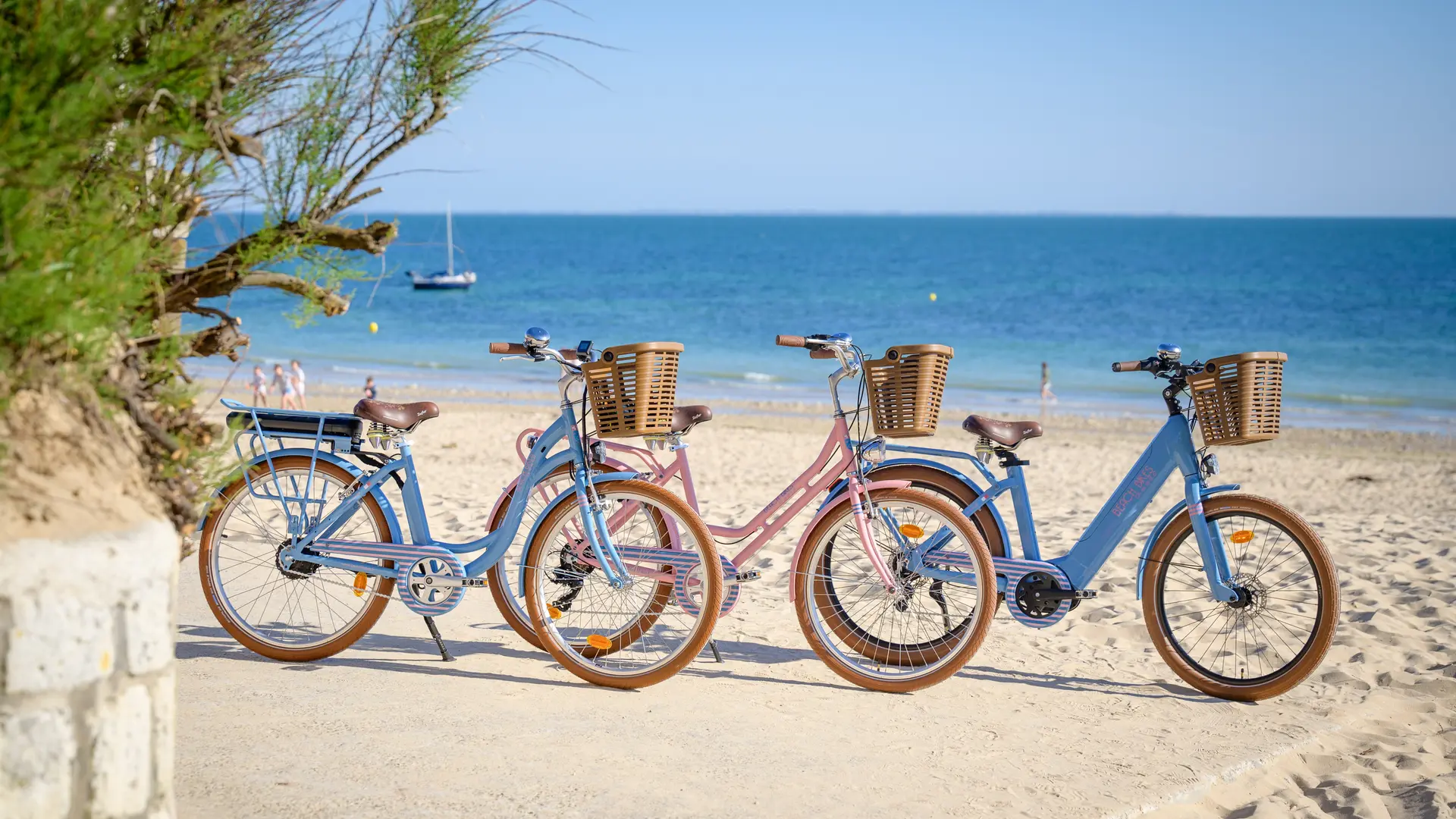 Vélos bleus et roses