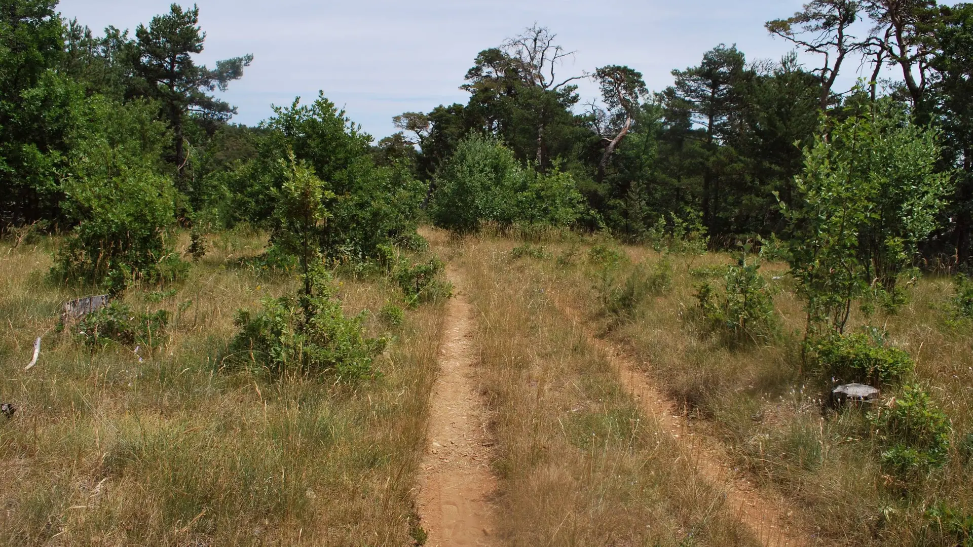 Beau sentier aride et roulant