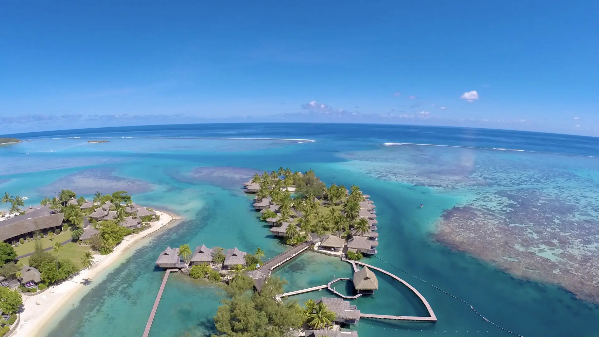 Moorea Dolphin Center