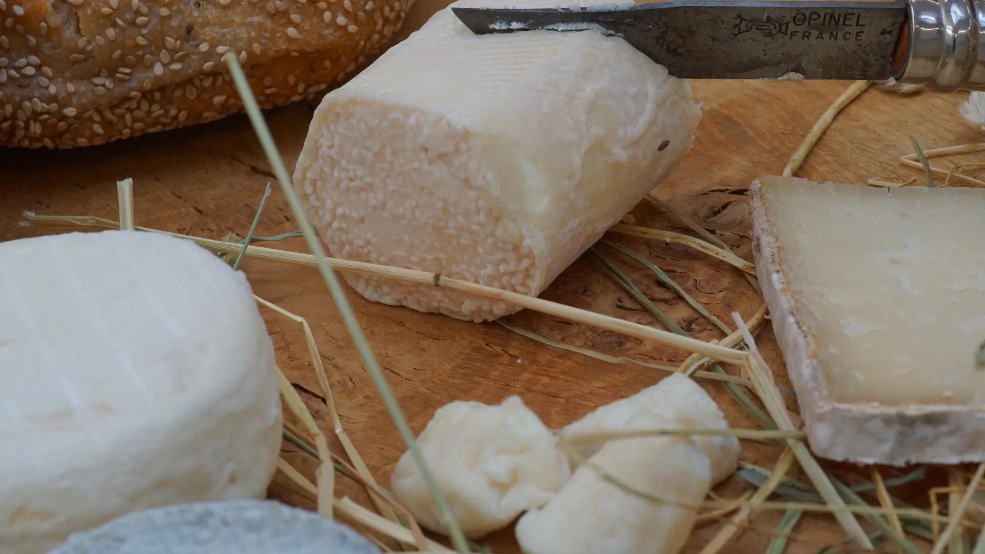 Sélection de fromage de chèvre