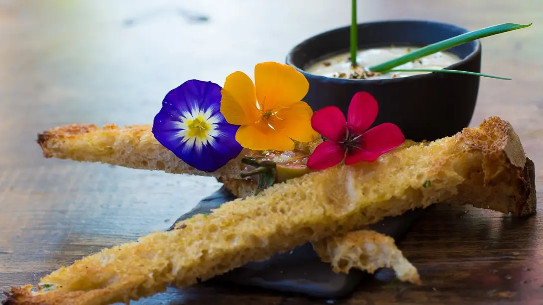 Restaurant vesc