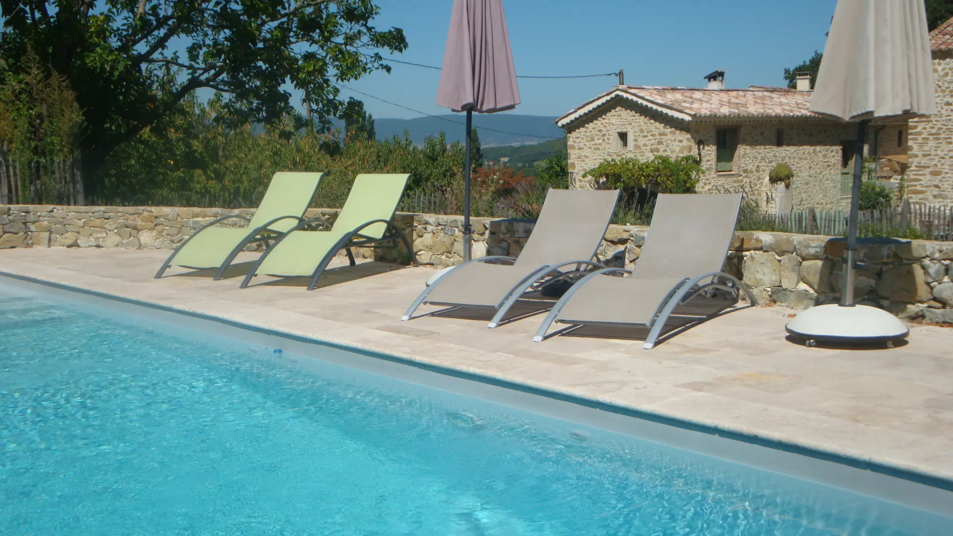 Piscine et gîte basilic