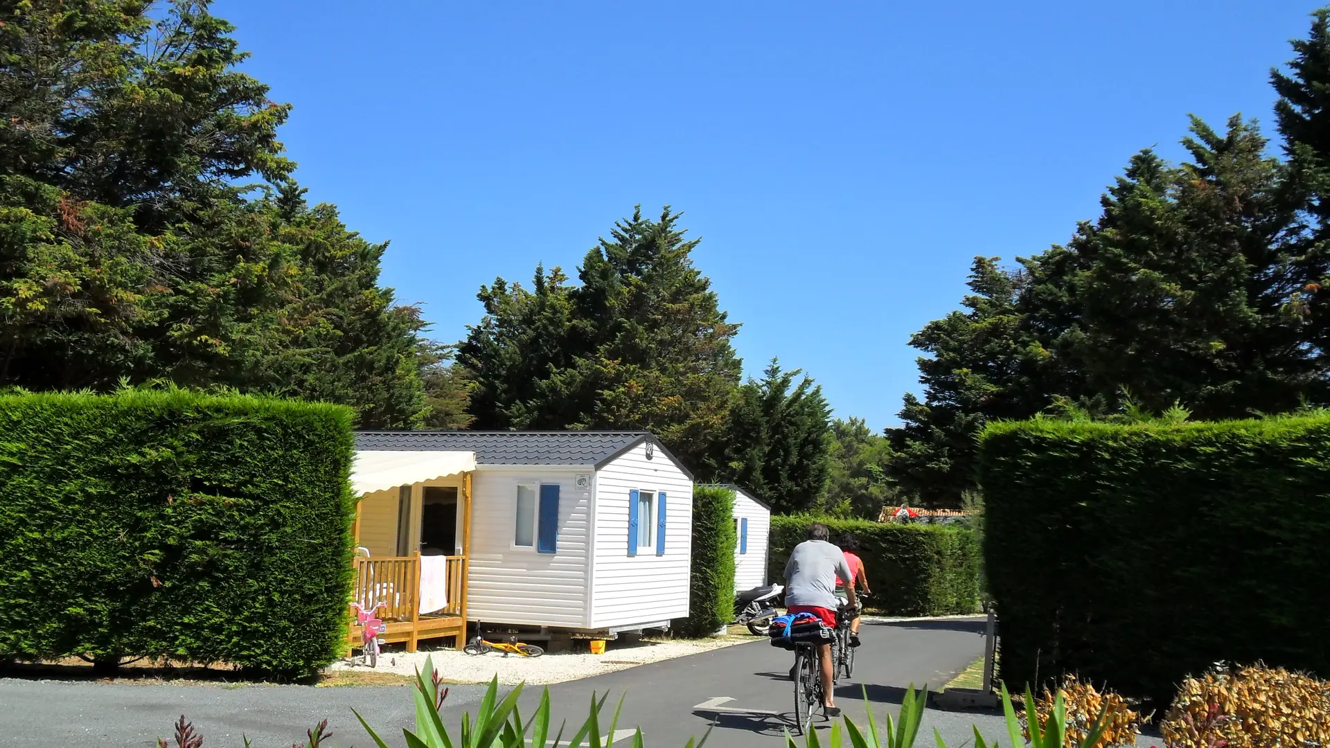 Allée du camping - Camping Val de Loire