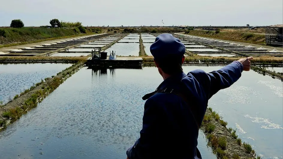 Sur le marais de Romain - 4