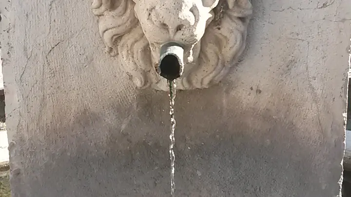Détail de la fontaine de la place ronde