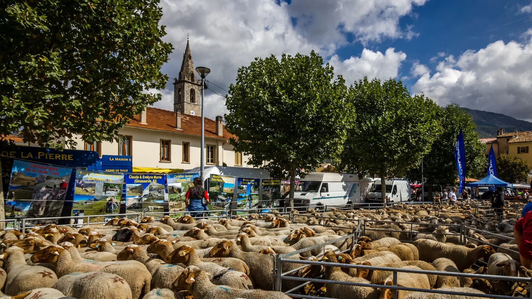 Foire Agricole Saint André les Alpes