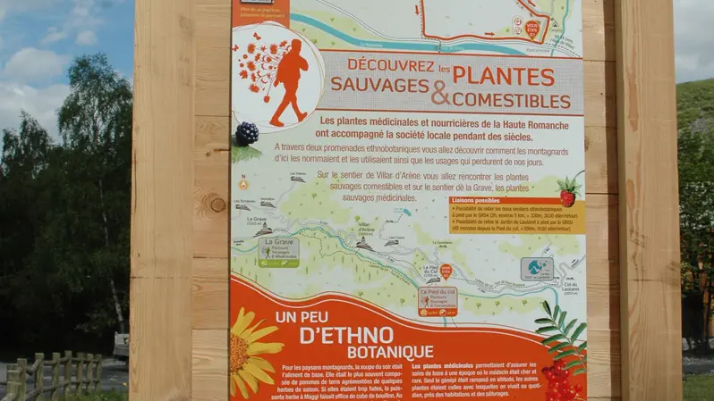 Panneau accueil sentier plantes comestibles