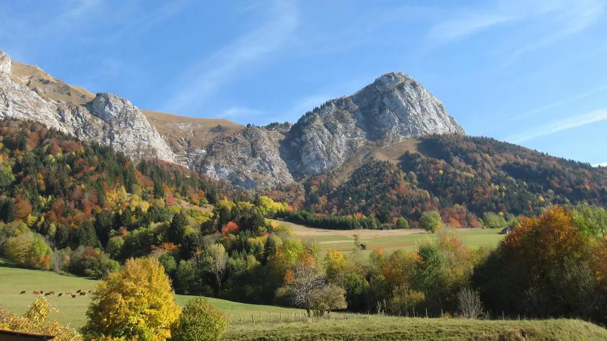 Paysage autour de l'hébergement à Doucy
