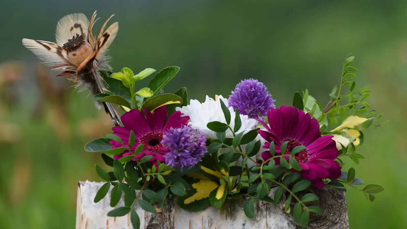 Atelier : création déco jardin, boule végétale_Faverges-Seythenex