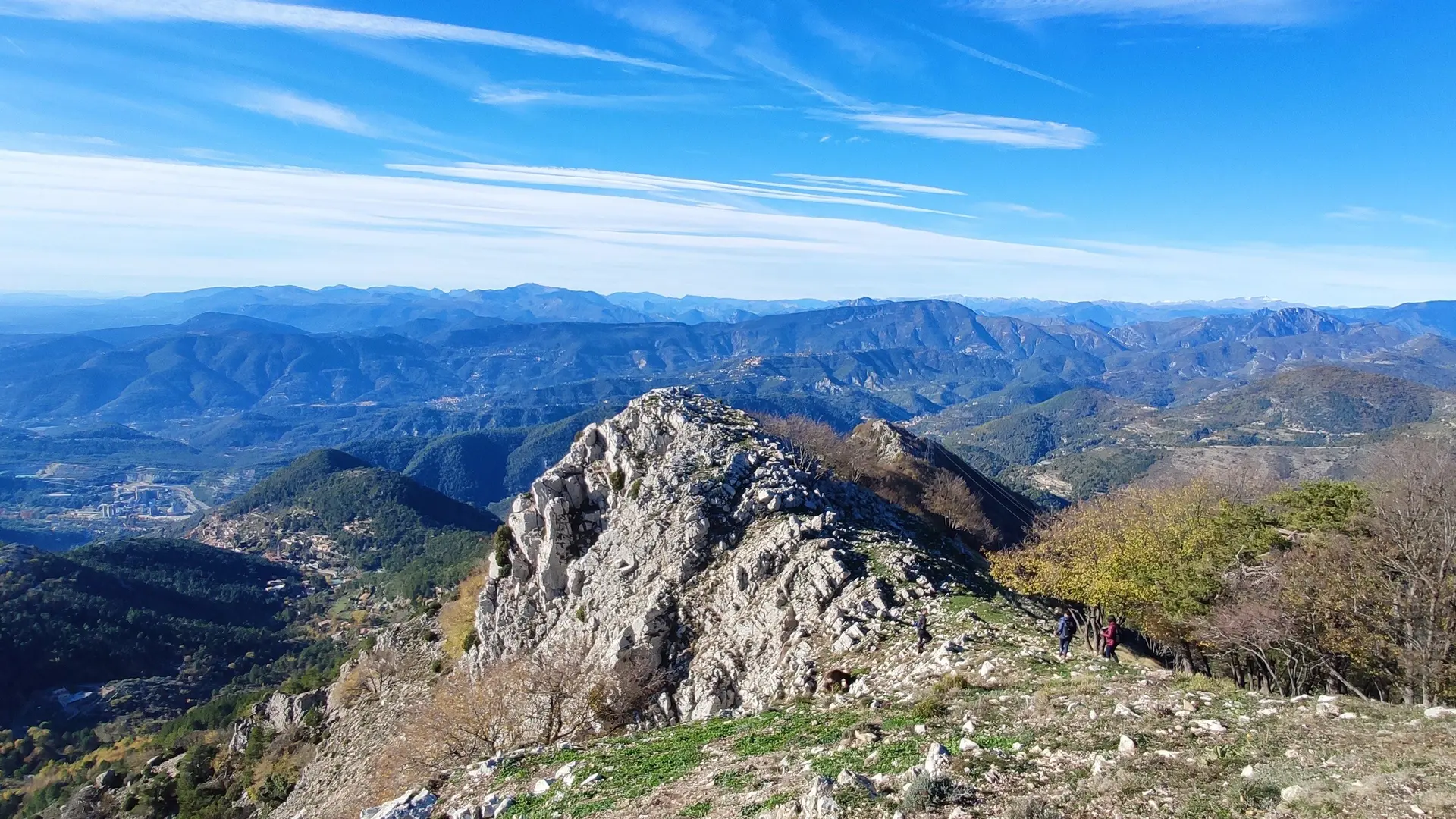 Panorama