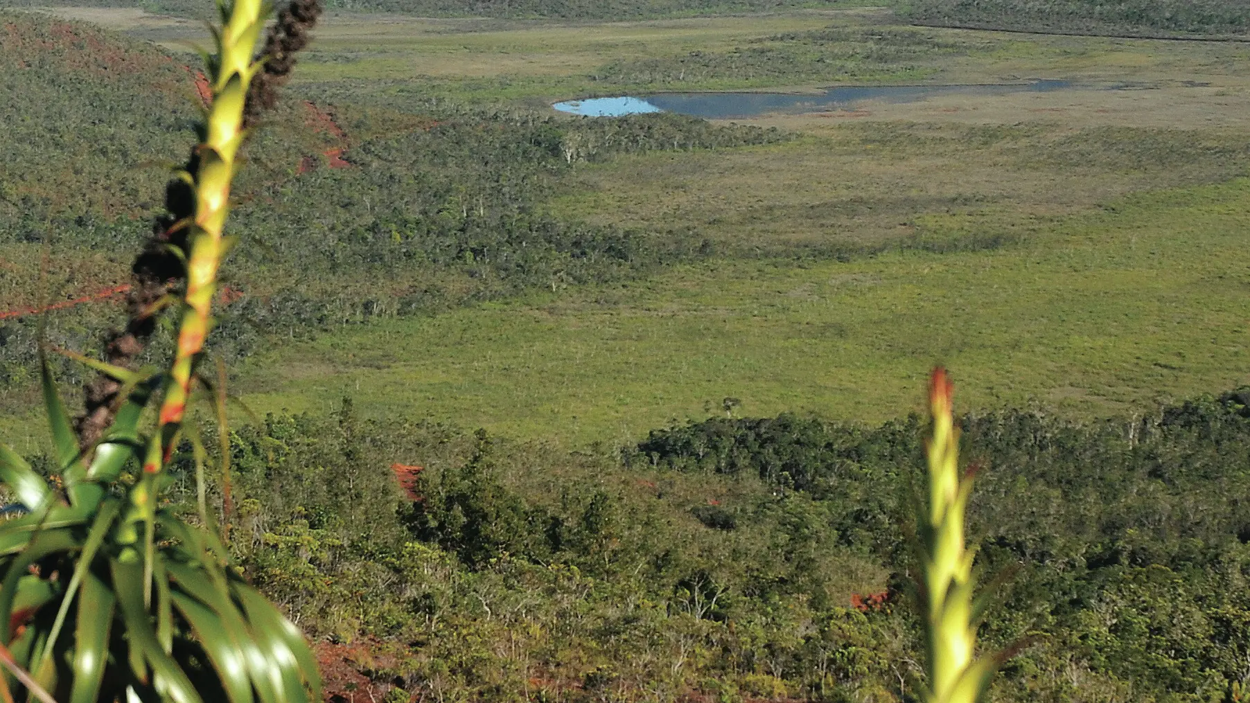 Point de vue