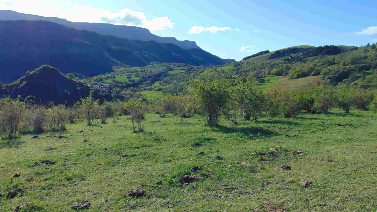 paturâge du Cousson