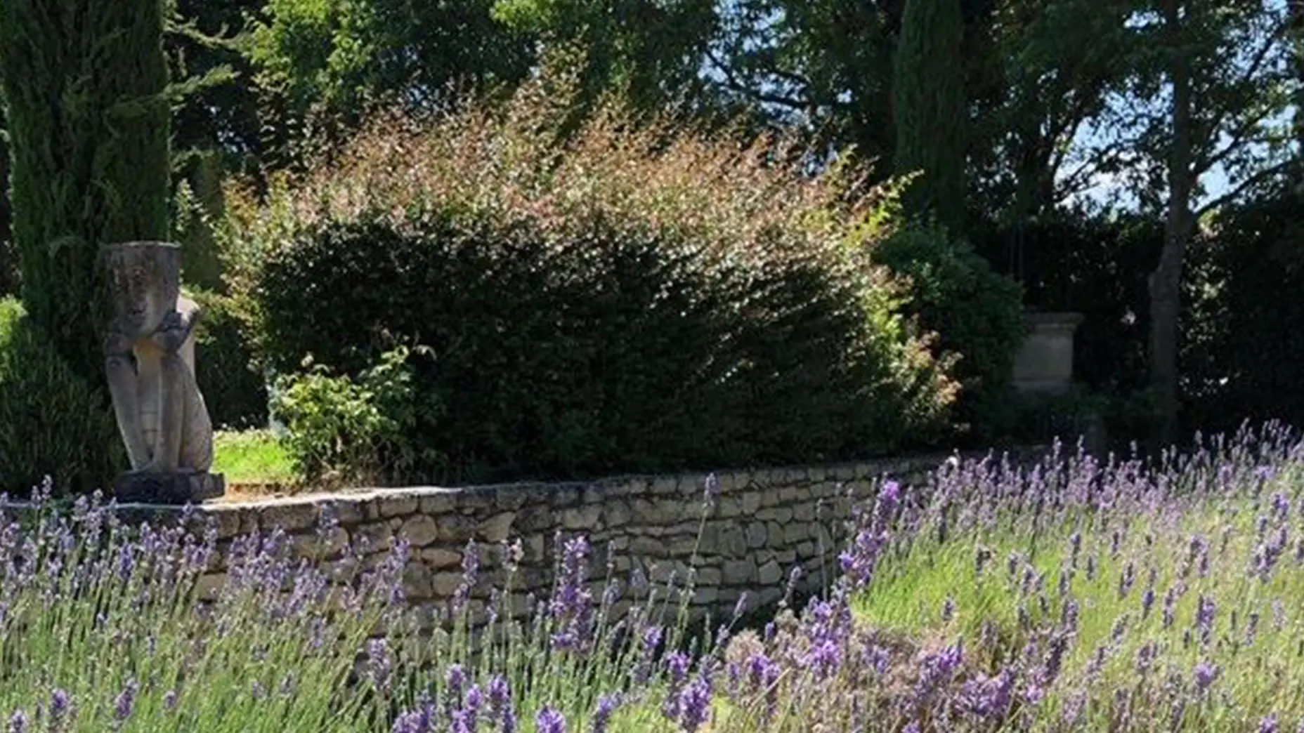 Le Mas des Carassins_Saint-Rémy-de-Provence