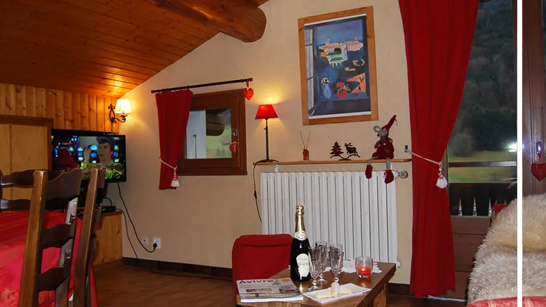 Pièce principale (coin repas, coin salon tv, wifi, bibliothèque, lecteur DVD)