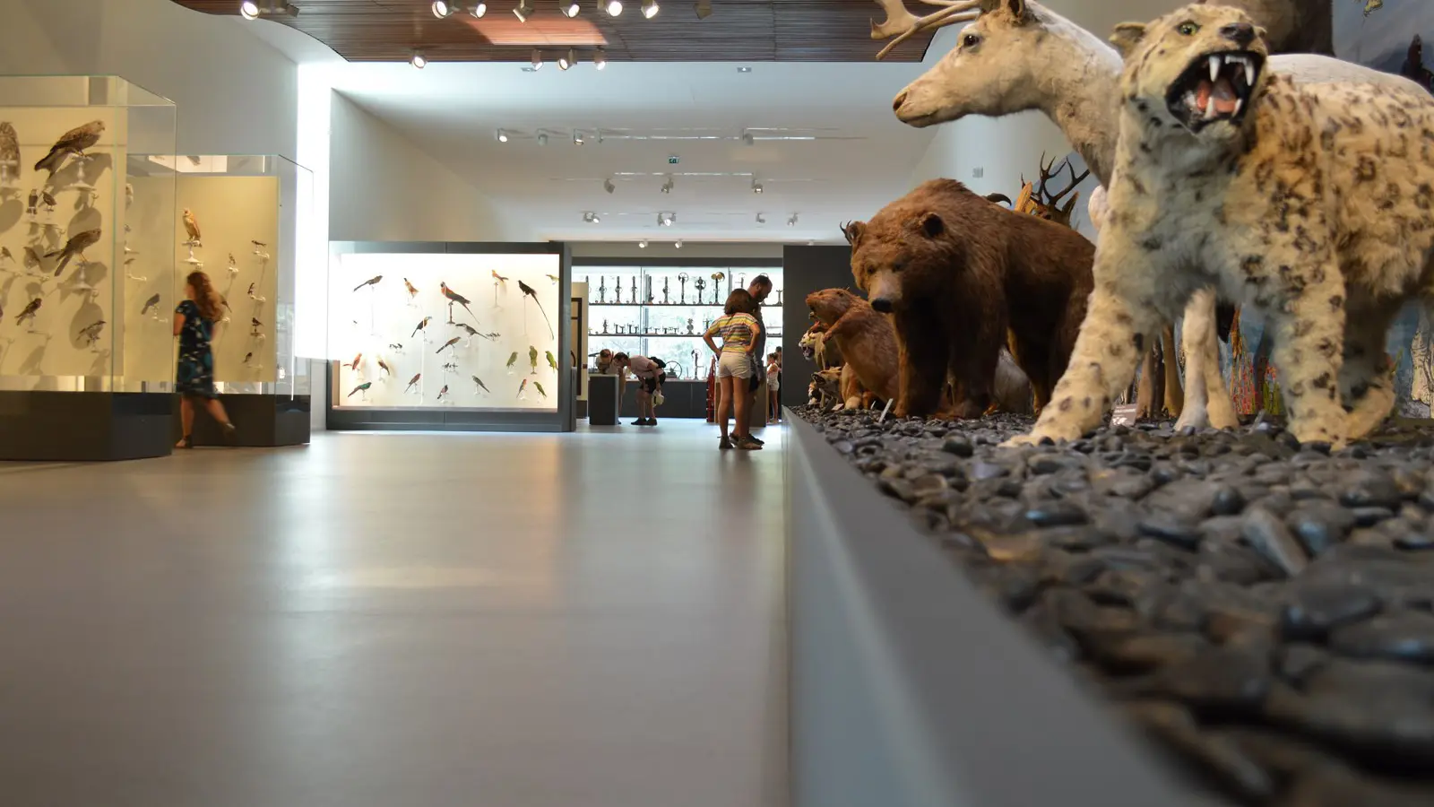 Galerie des sciences