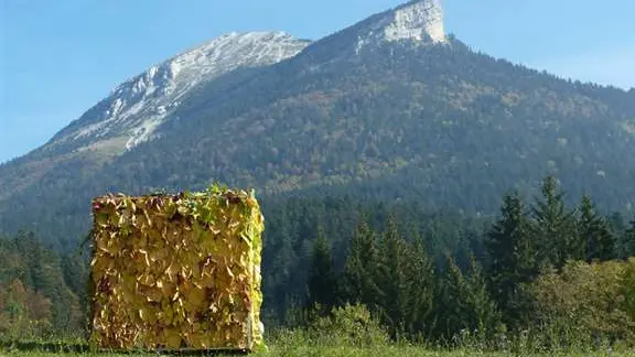 Cube landart devant Chamechaude