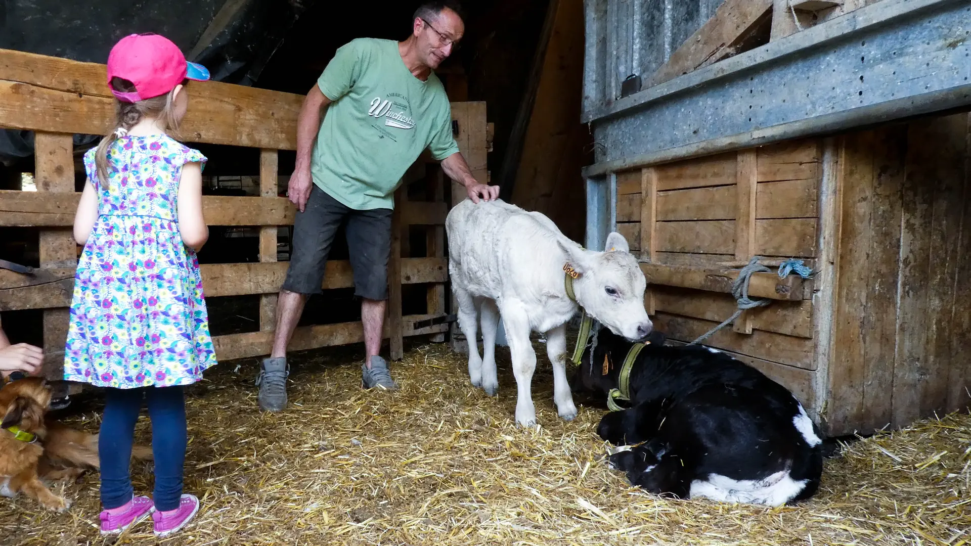 anniversaire à la ferme