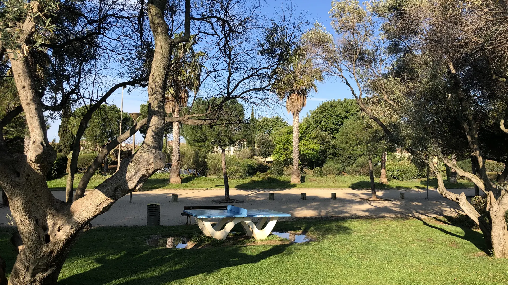 Tables de ping pong