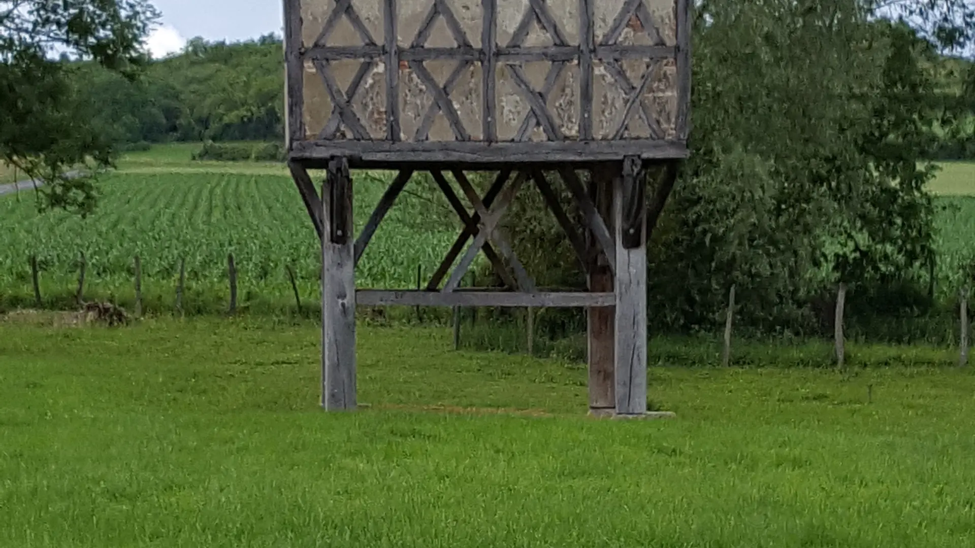 Sur les traces d'Adélaïde d'Orléans