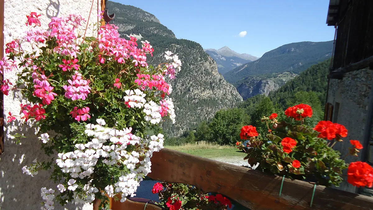 Vue paysage été  Le Riou Vert