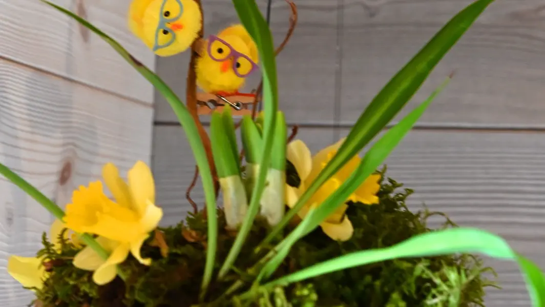 Atelier : création déco jardin, boule végétale_Faverges-Seythenex