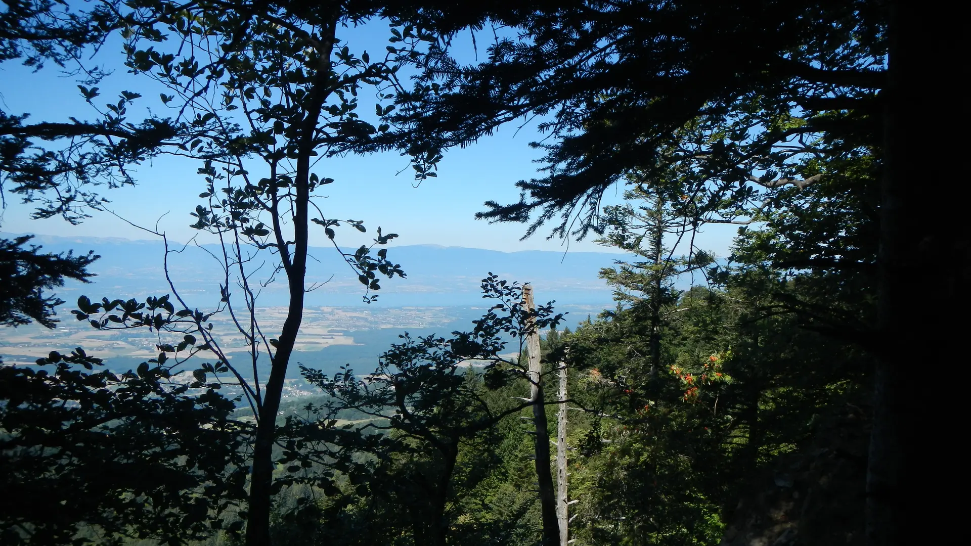 Vue sur le Léman Pralère